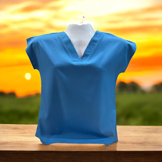 BLUE VNECK BLOISE